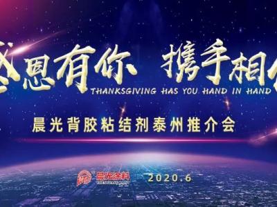 &ldquo;感恩有你 携手相伴&rdquo;，J9国际站登录背胶粘结剂泰州推介会圆满举办